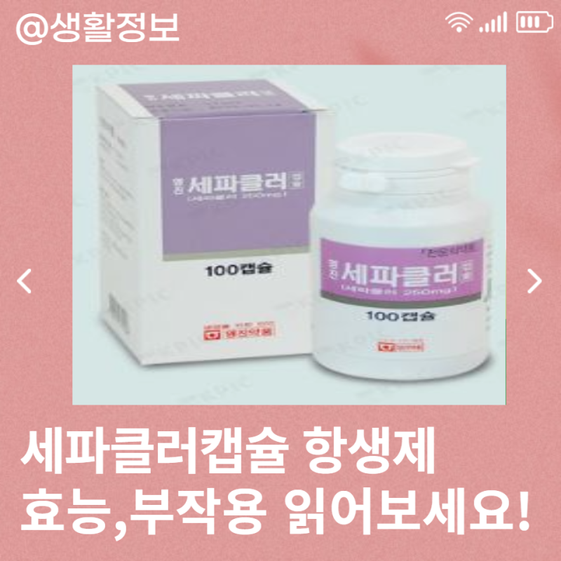 세파클러캡슐 항생제 성분, 효능, 부작용까지 정리해볼게요.