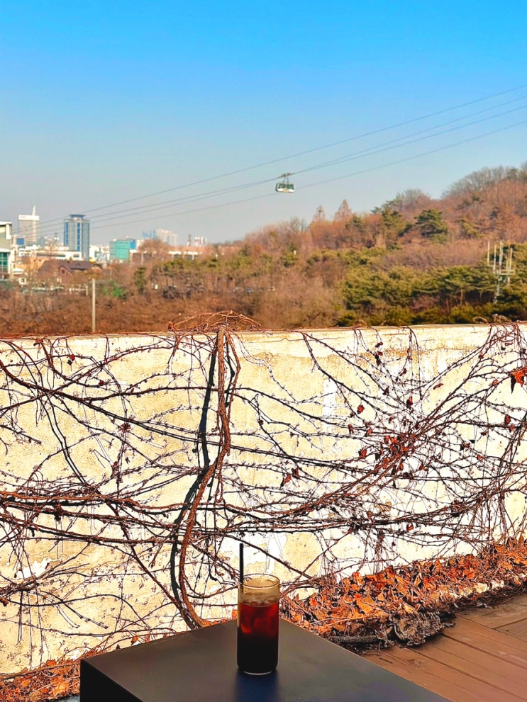  서울 남산 케이블카 아래, 아이들과 가볼만한 곳 카페 마뫼