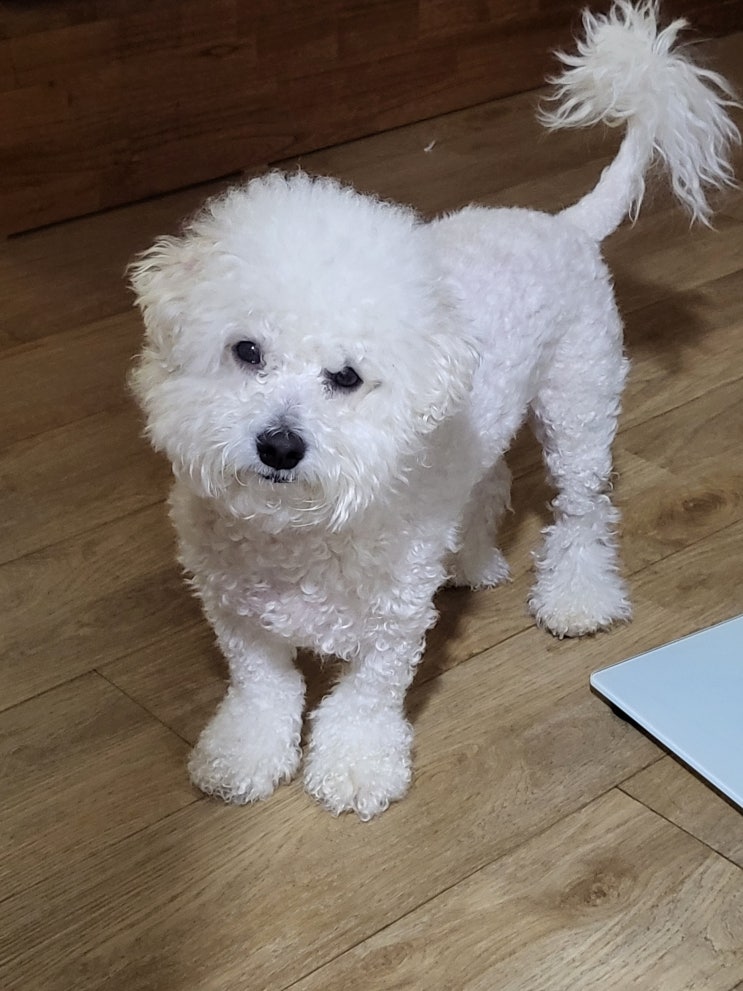  단지, 대왕암
