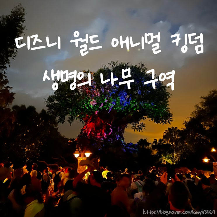  디즈니월드 애니멀 킹덤 생명의 나무 라이트쇼 시간 및 풀영상 관람 추천