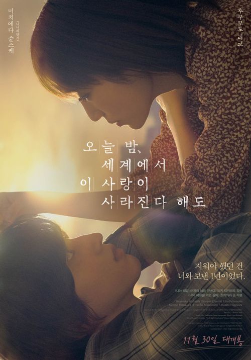  기억상실증에 걸린 소녀와 평범한 소년의 애틋한 사랑 이야기 <오늘 밤, 세계에서 이 사랑이 사라진다 해도> 영화 정보&후기