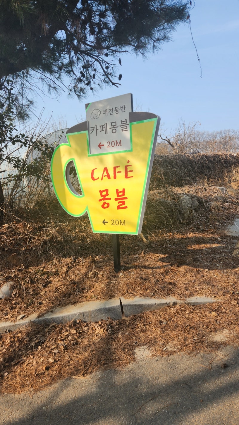 사진 4