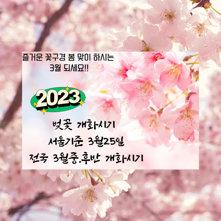  강아지 고양이 대형견 맹견 단두종 반려견 출국 검역 운송 서비스