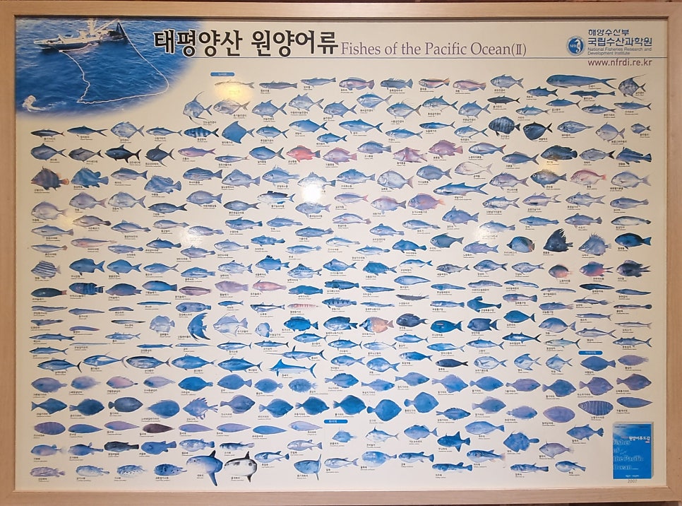 빵가수산 사진 5