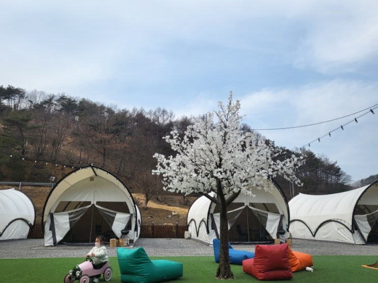  27개월 아기랑 함께 대전 근교 공주 별하글램핑으로 여행