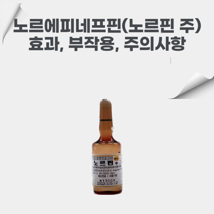  노르핀 주 : 노르에피네프린 기능, 역할, 부작용, 임상에서의 투약
