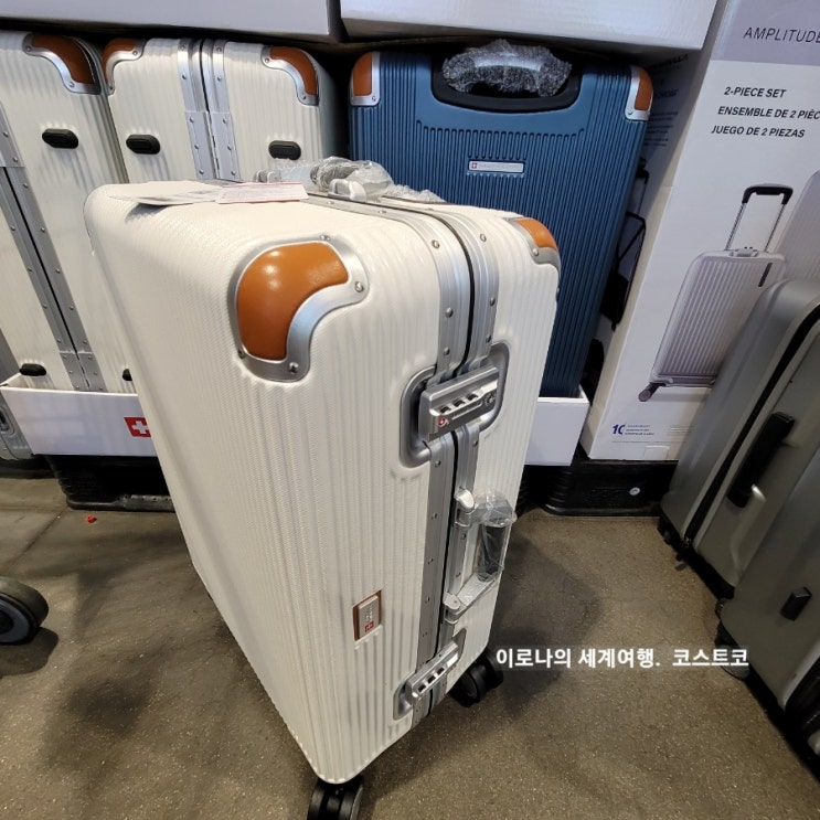  [정보] 코스트코 회원권 갱신선물 및 샘소나이트, 스위스 밀리터리 캐리어, 국내산 사골, 과일 가격 정보