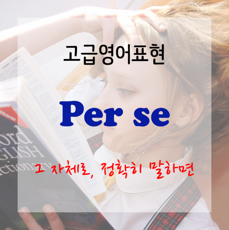  [고급영어표현] Per se - 그 자체로, 정확히 말하면