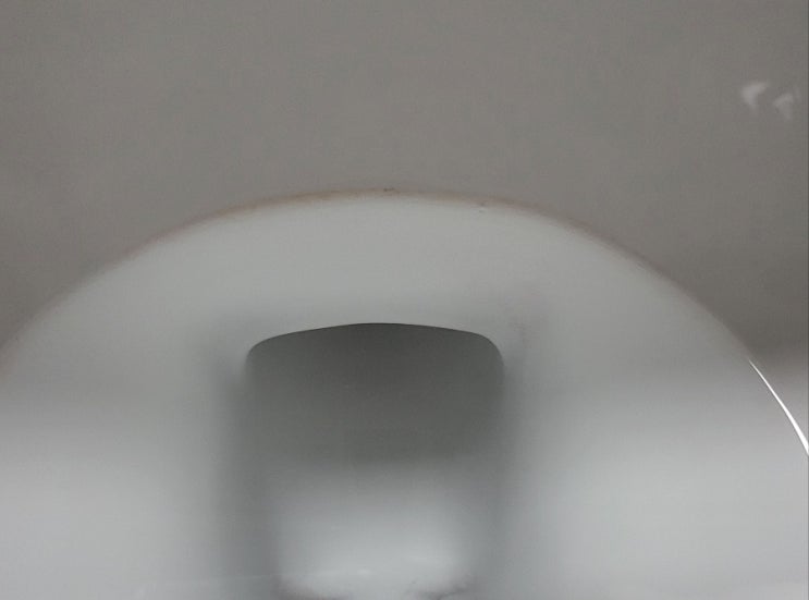  화장실 변기의 분홍색 띠는 왜 생기는 걸까?