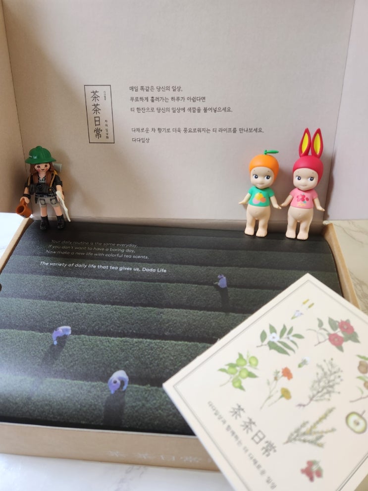 오설록 특별한 차 구독 시작 다다일상 오설록 특별한 차 구독 시작 다다일상