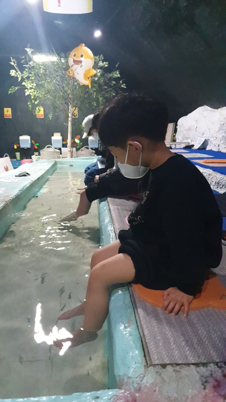  대전 여행 필수 코스 대전아쿠아리움 수족관 실내동물원 다양한 놀거리 만족