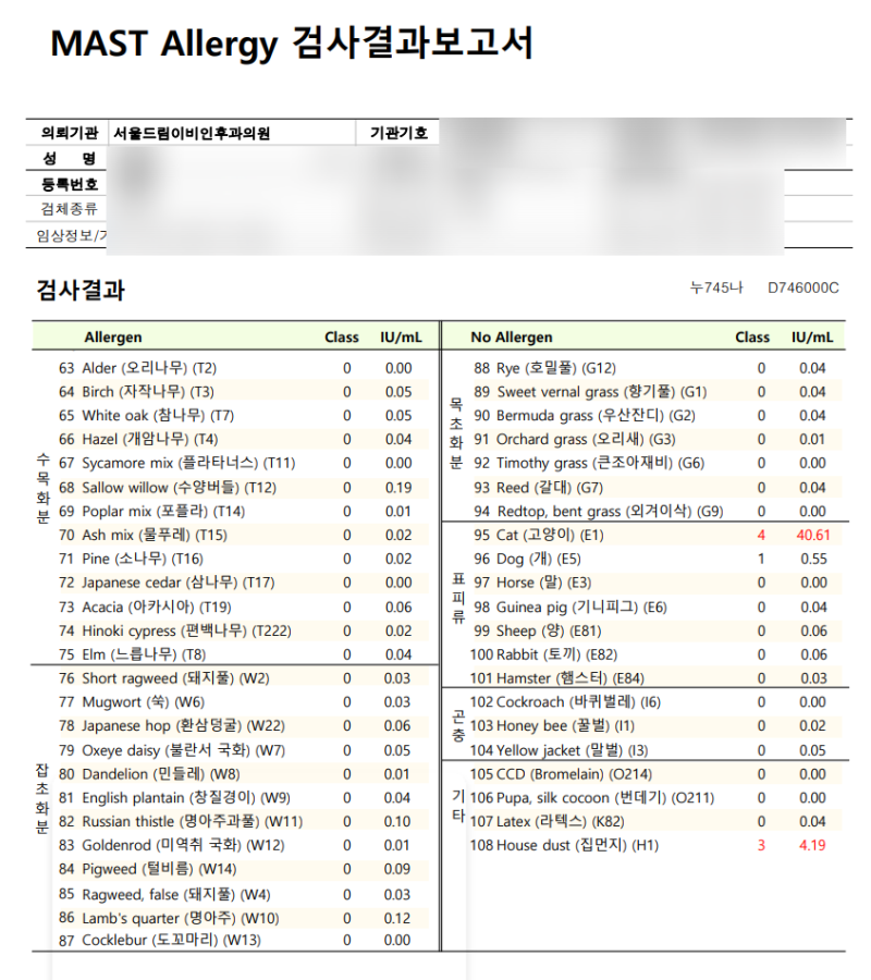 지연성 알레르기 검사(식품 과민증 검사) 방법 비용 실비