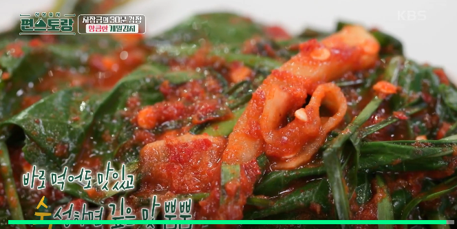 편스토랑 차장금 차예련 케일김치 만드는 법 레시피 케일 영양소 효능
