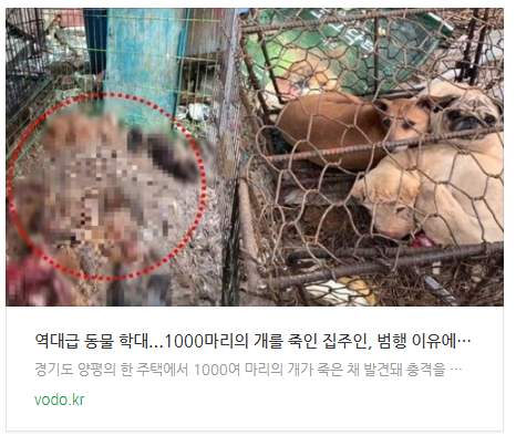 "역대급 동물 학대"...1000마리의 개를 죽인 집주인, 범행 이유에 모두 분노했다 "역대급 동물 학대"...1000마리의 개를 죽인 집주인, 범행 이유에 모두 분노했다