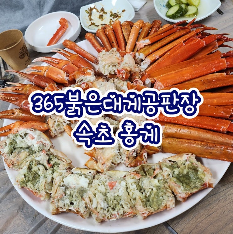  속초 365붉은대게공판장 - 청초호 대게 , 홍게 맛집