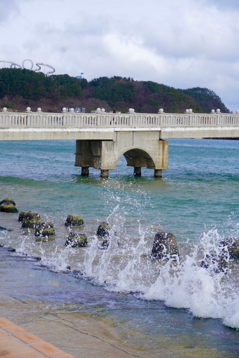 浦項旅行 | 迎日台、九龍浦 with カン・ホドンさん？！