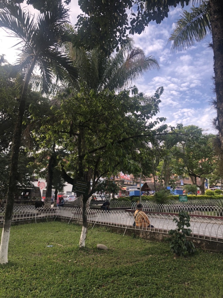  Caranavi.29 ~ 30