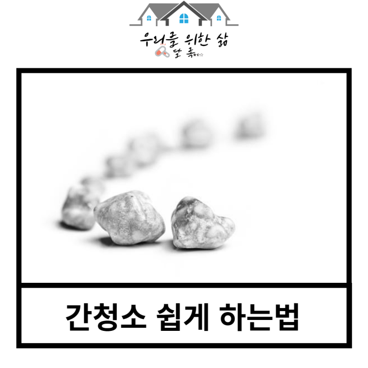  간청소 하는법, 지방간 담석 제거 쉽게 해보세요.