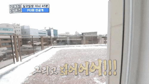 구해줘홈즈 박규리 허영지 류승수 나이 프로필 서초구 양재동 대형베란다 용산구 이촌동  193....