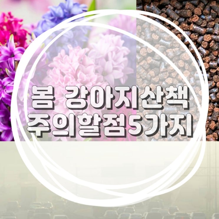  봄 강아지 산책 주의할 점 유박비료 진드기 등 5가지