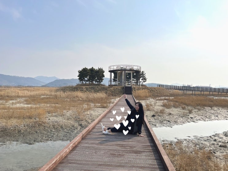  고창 자전거 무료대여 바닷가 산책하기 람사르갯벌센터 생태공원 탐방전기차