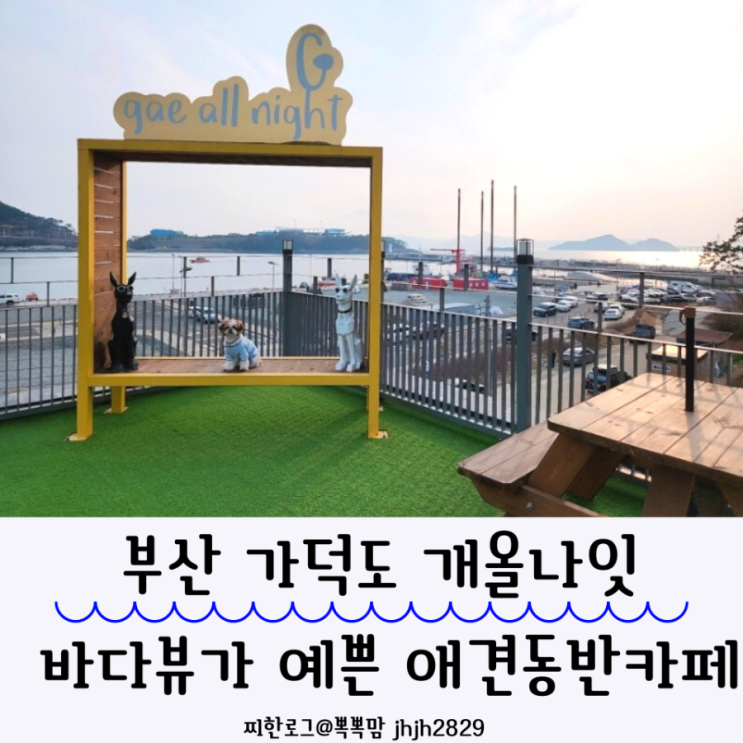  노지캠핑장앞 가덕도 애견동반카페 개올나잇