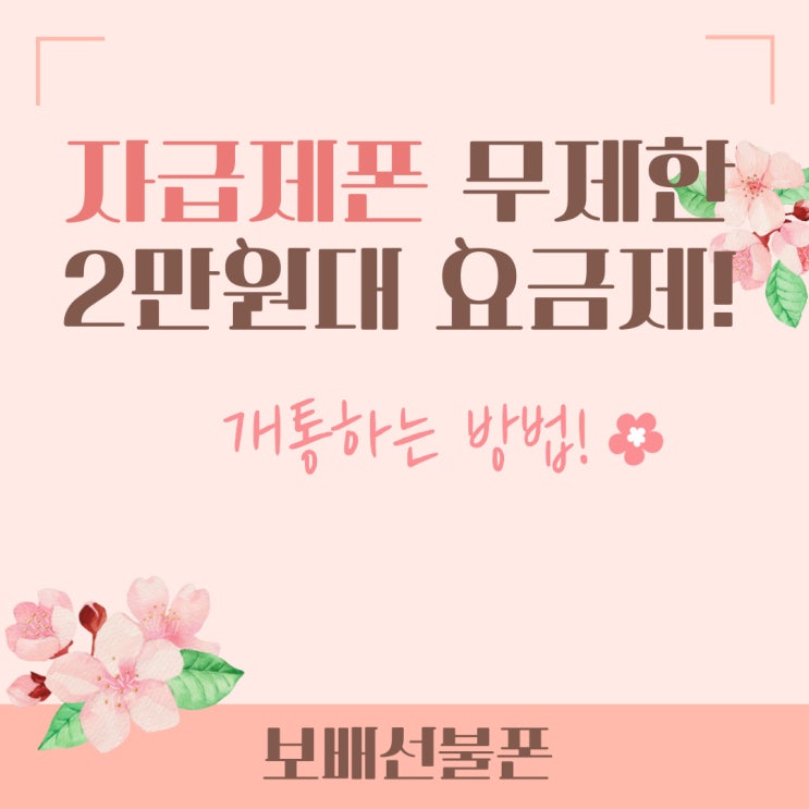 자급제폰 무제한 2만원대 요금제 개통하는법! 자급제폰 무제한 2만원대 요금제 개통하는법!