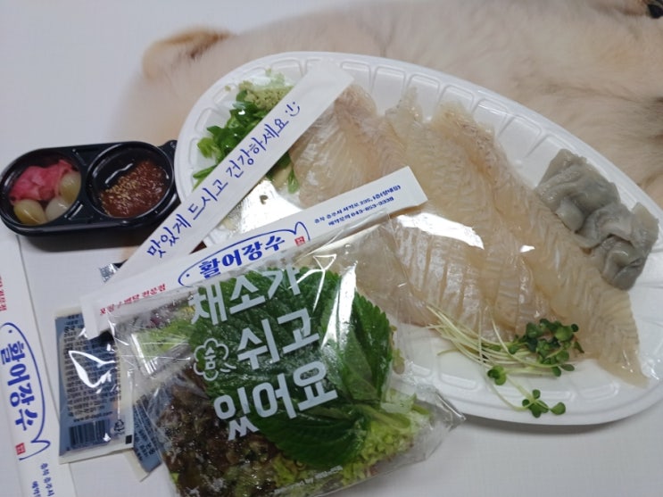  충주 신선한 회 포장 배달 맛집 활어장수