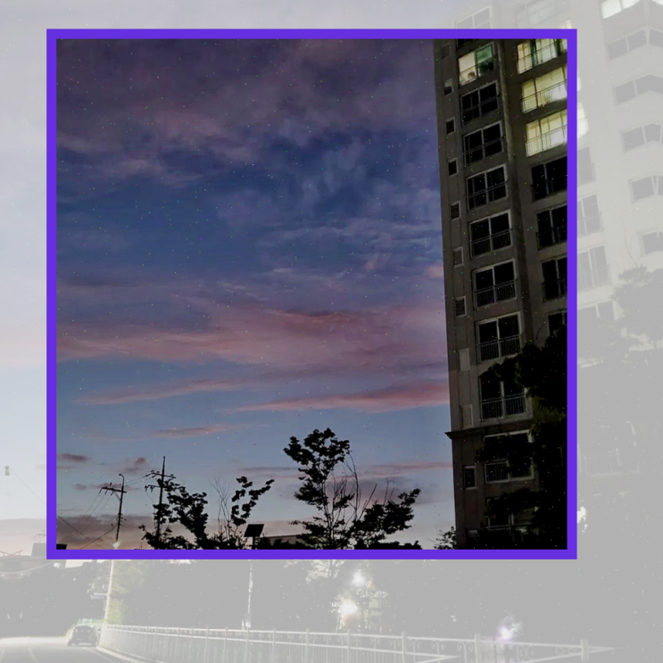  여러 식물도 보고 꽃도 보며
