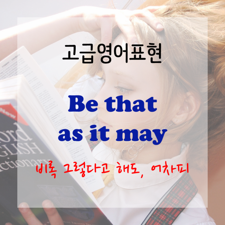 [고급영어표현] Be that as it may - 비록 그렇다고 해도, 어차피