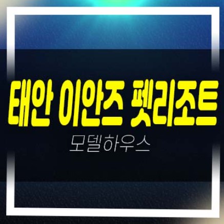  태안 이안즈 펫리조트 서해바다 천리포해변 오션뷰 빌리지동 펫리조트 분양가 평형타입 견본주택 안내!