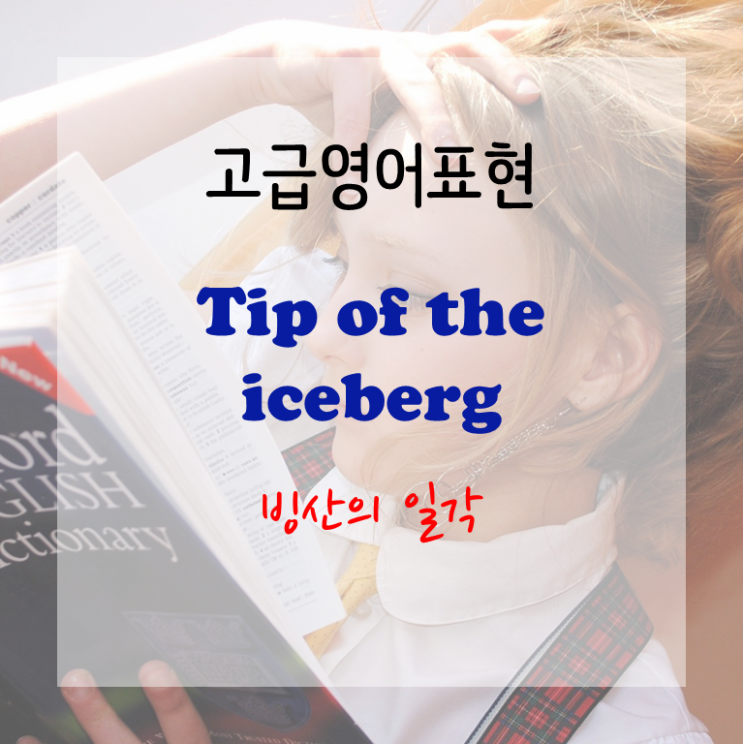 [고급영어표현] the tip of the iceberg - 빙산의 일각