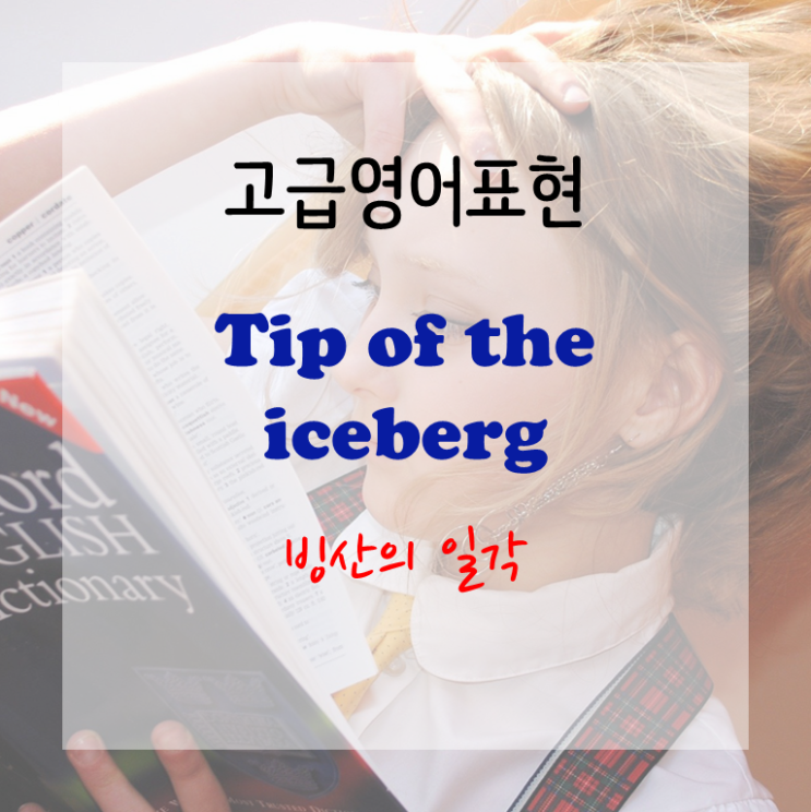  [고급영어표현] the tip of the iceberg - 빙산의 일각