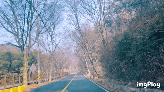  겨울 가기 전 등산! 치악산 구룡사와 세렴폭포