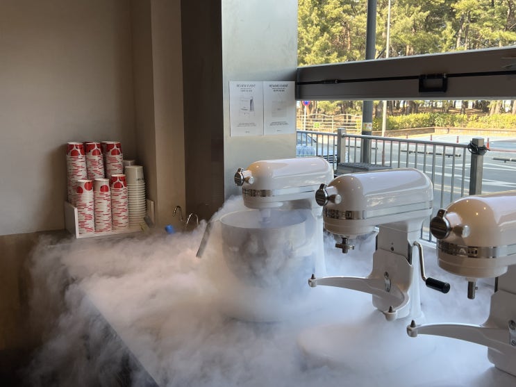  속초 카페｜브알라 Cafe, 질소 아이스크림 너무 맛있어