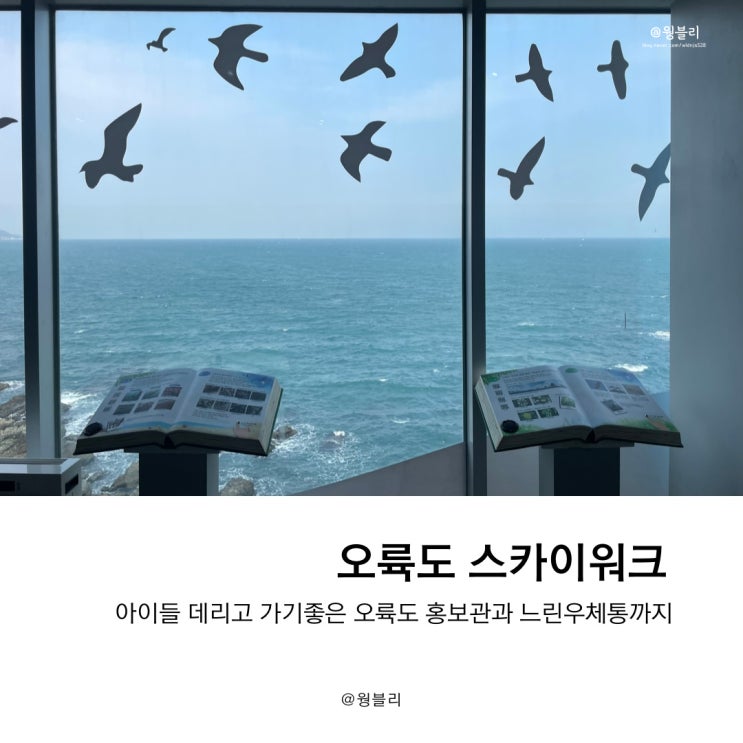  부산 오션뷰 바라보며 산책하기 좋은 오륙도 스카이워크