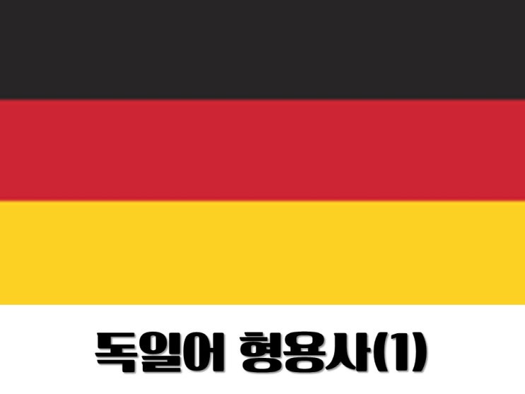  [Deutsch]독일어 형용사 어미 배우기(1)
