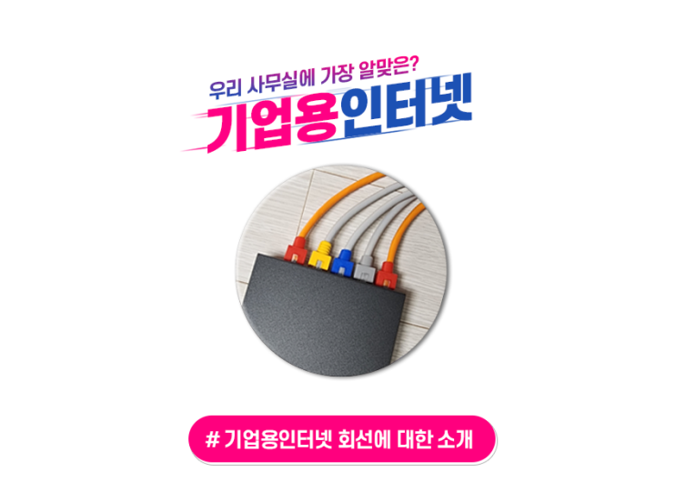  기업용 인터넷, 가정용인터넷 어떤 것을 선택할까?