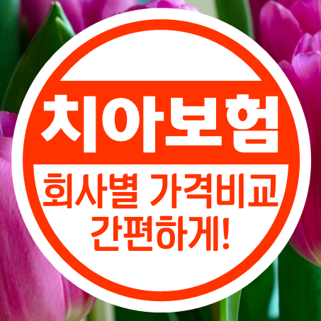  무진단치아보험 추천 나에게 필요한 무진단형치아보험 가격은 얼마 정도일까?