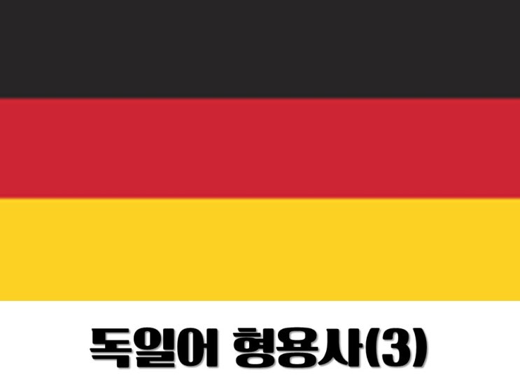  [Deutsch]독일어 형용사 어미 배우기(3)