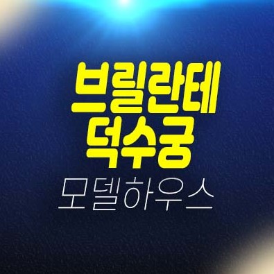 브릴란테 덕수궁 서울중구 세종대로 오피스텔 분양금액 평형타입 유니트 잔여보유분 및 견본주택 방문예약 브릴란테 덕수궁 서울중구 세종대로 오피스텔 분양금액 평형타입 유니트 잔여보유분 및 견본주택 방문예약