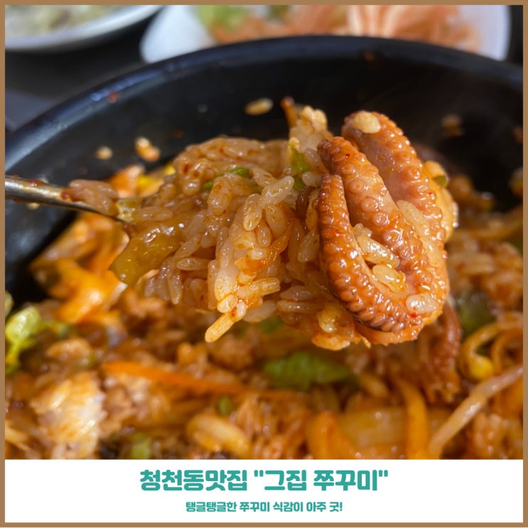  청천동맛집 청천그집쭈꾸미 탱글탱글 맛좋은 식감