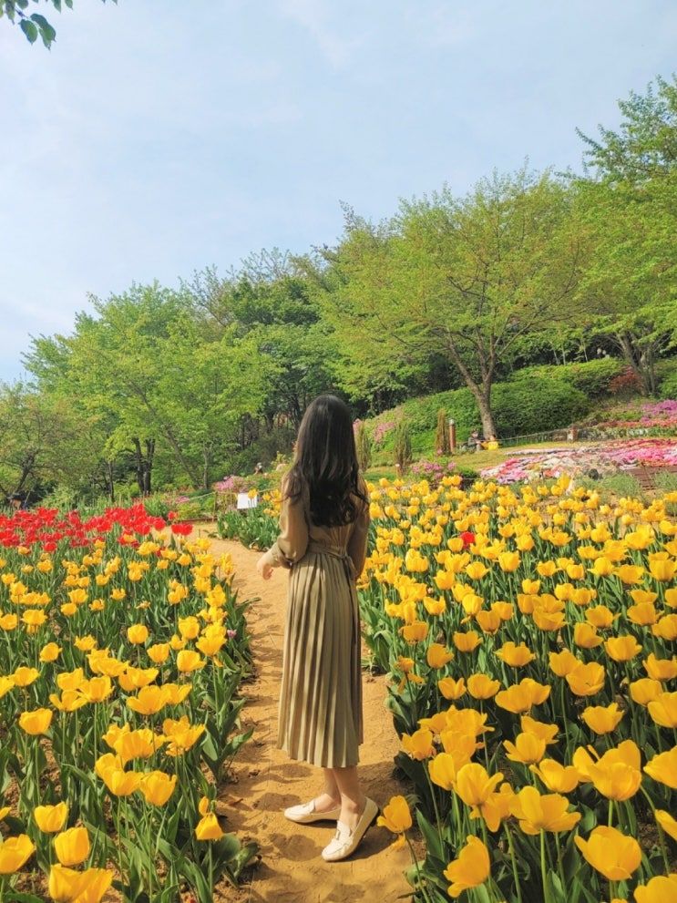  서울 연희숲속쉼터 숨겨진 튤립 포토존