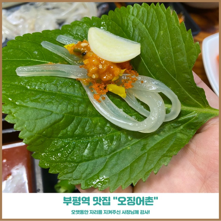  부평 테마의거리 맛집 오징어촌 20년동안 유지할수있는 맛의비결