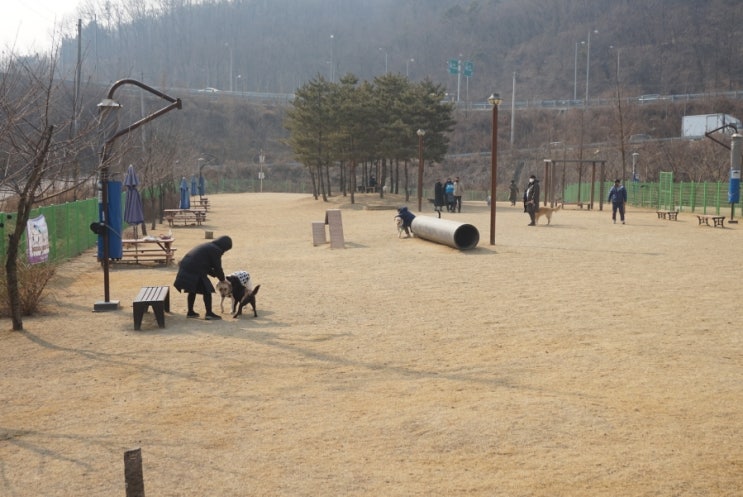  안양 삼막 애견공원 산책후 석수 삼막골 산채보리밥집 오리백숙~