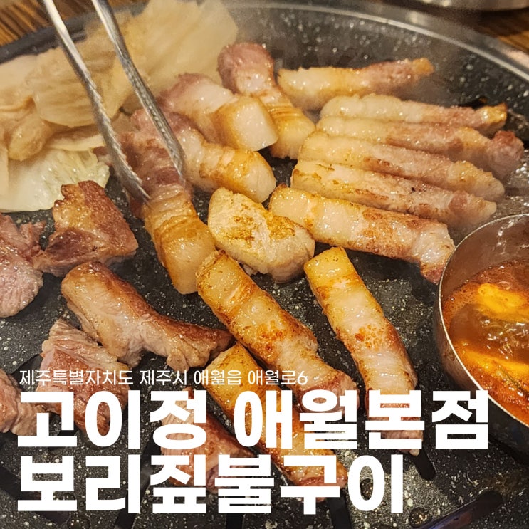  제주도 도착하자마자 첫 끼는 당연히 흑돼지 내돈내산 흑돼지 근고기맛집 고이정