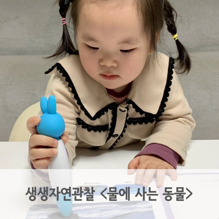  블루래빗 자연관찰 전집 읽고 스티커북 독후활동해요