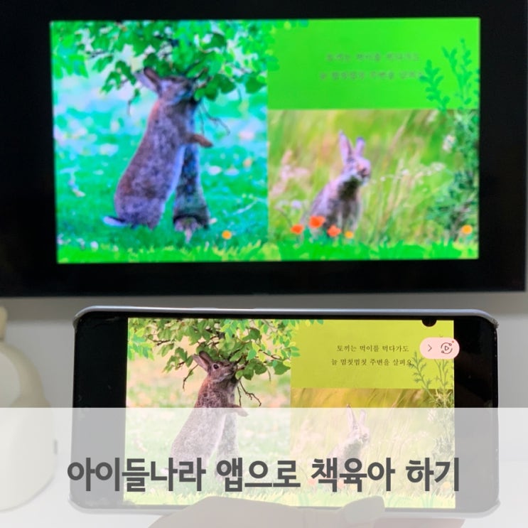  아이들나라로 책육아하고 네이버페이까지 받기