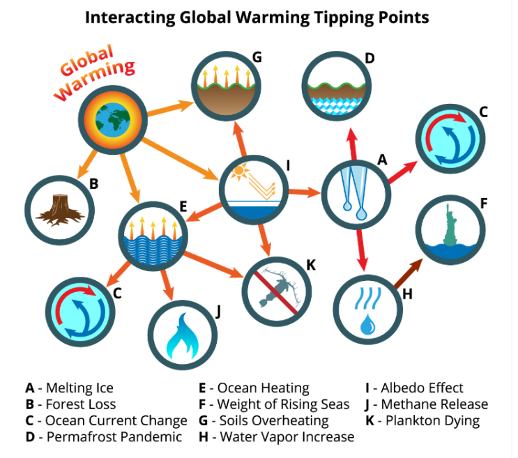 기후변화의 티핑포인트 현상들