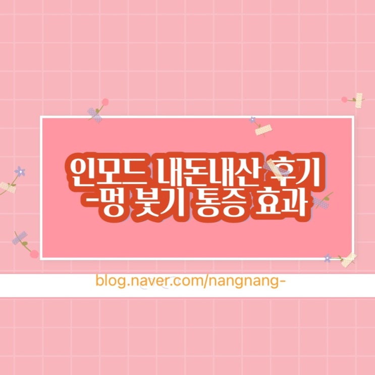  인모드 내돈내산 후기-효과,통증,가격,멍